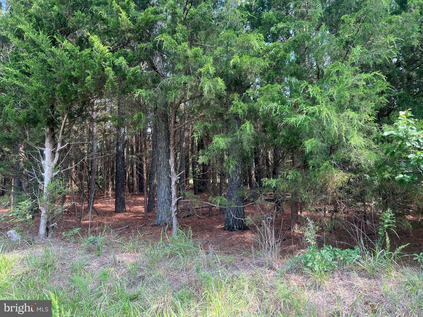 Property Photo: 0 Tidewater Trail VA 22437