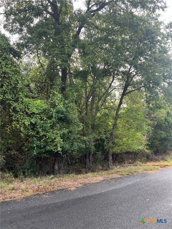 Property Photo:  2640 Fort Road  TX 76513 