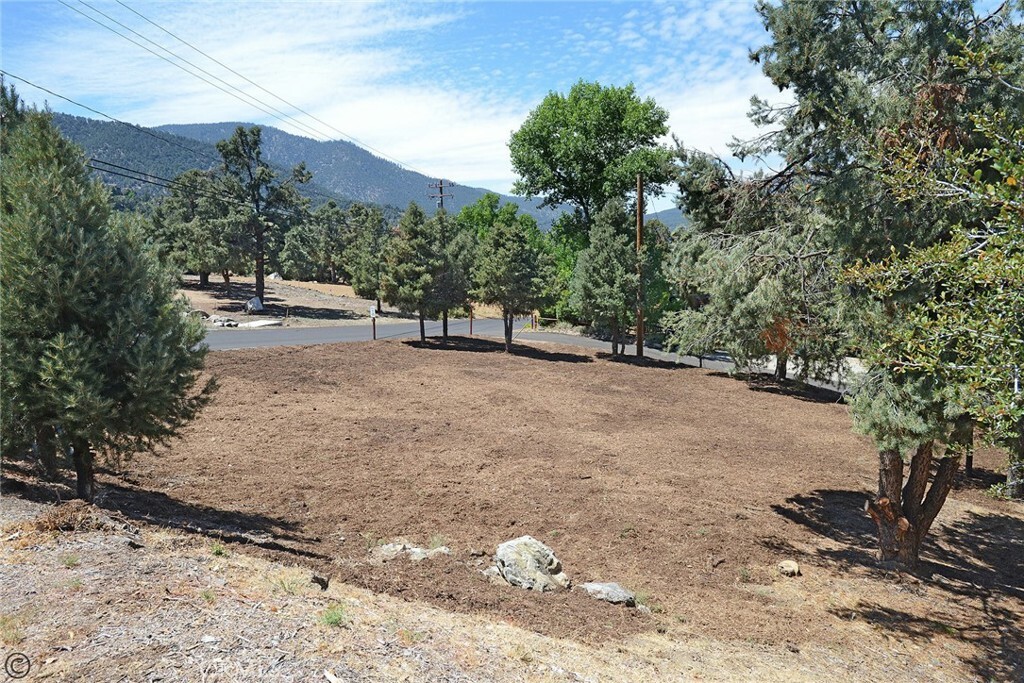 Property Photo:  2029 St Bernard Drive  CA 93222 