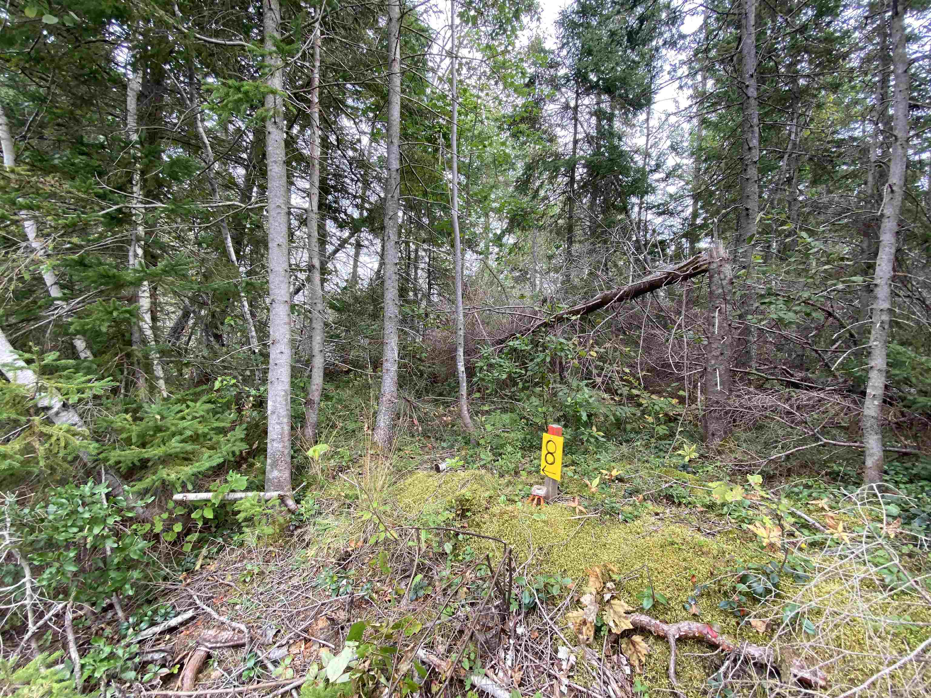 Photo de la propriété:  Lot 8 Floating Bridge Road  PE C0A 1W0 