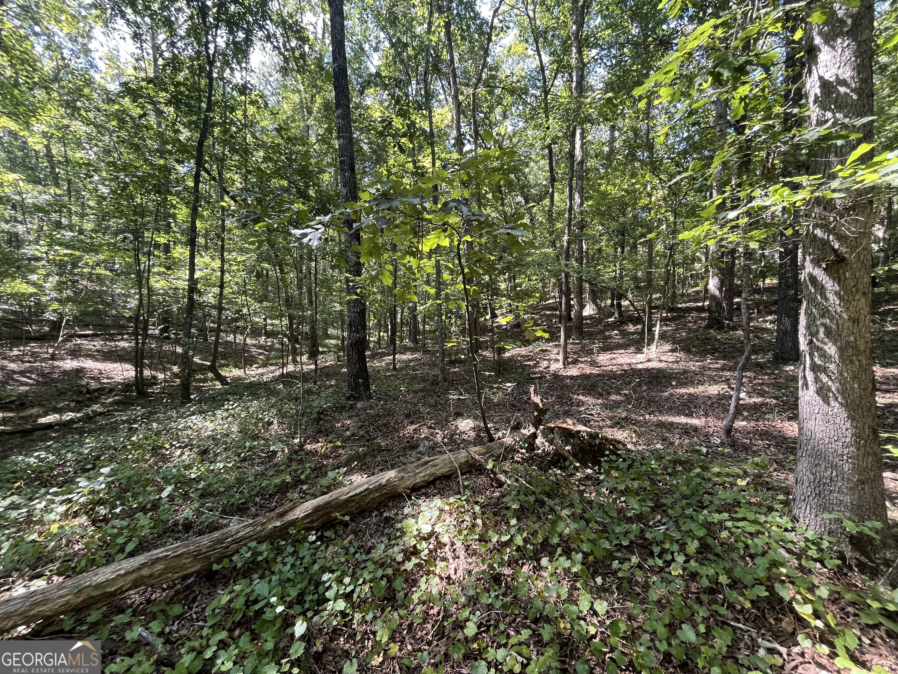 Property Photo:  0 Rustic Ridge Road  GA 30161 