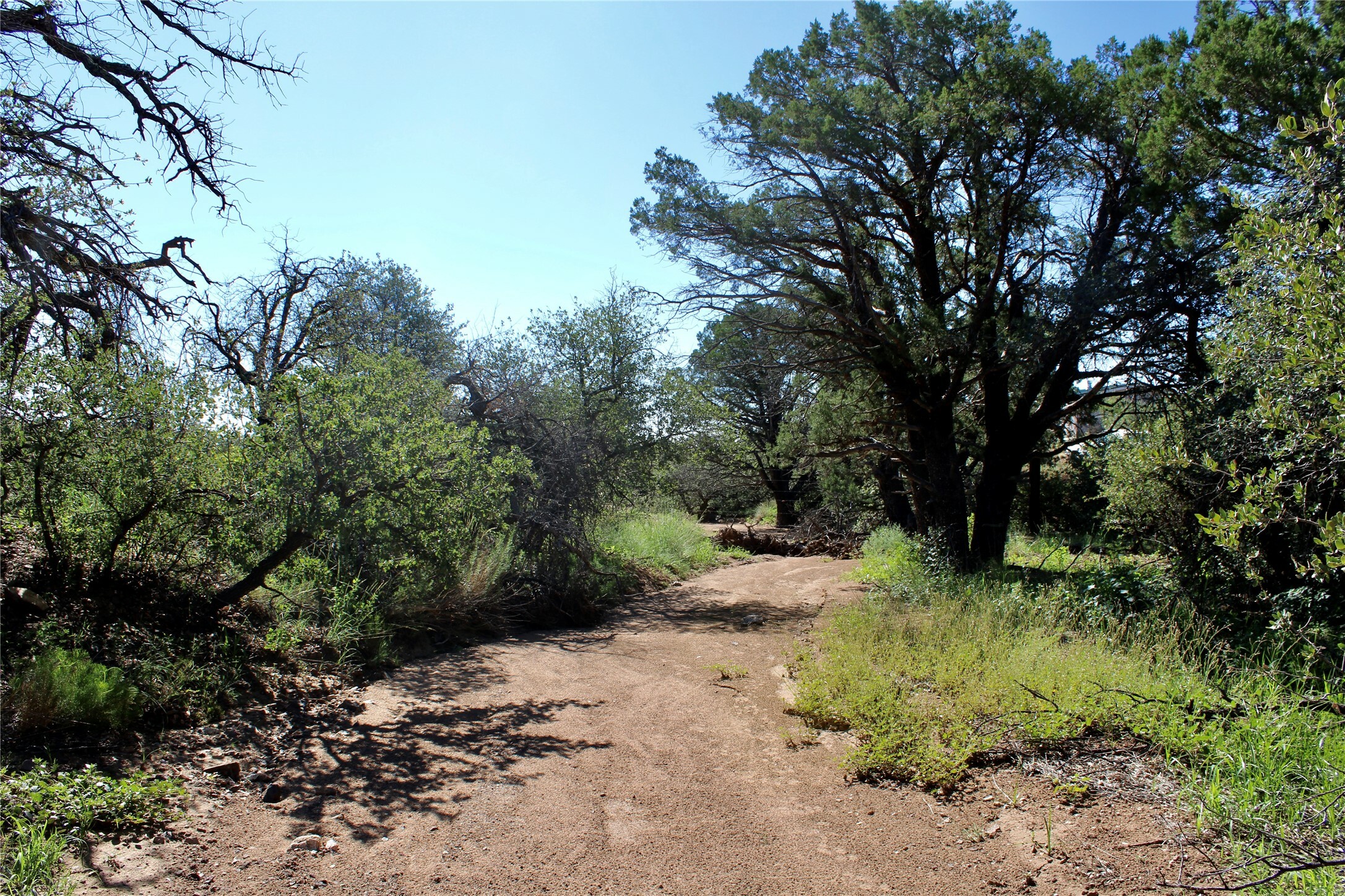 Property Photo:  89 Rustlers Trail  NM 88061 