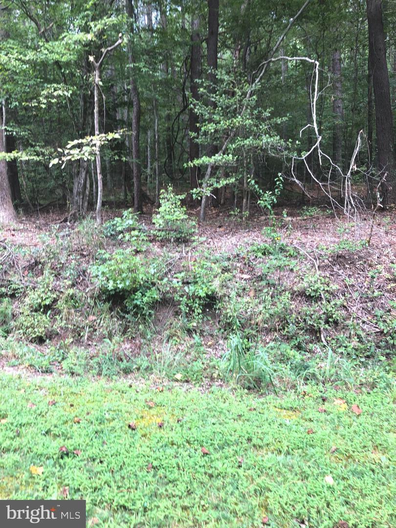 Property Photo: Lot 18 Knights Landing VA 22473