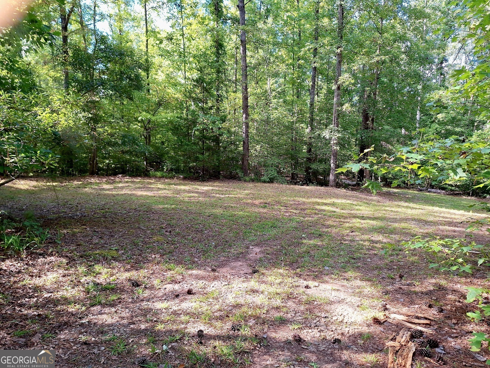 Property Photo:  Lots 48,49,50 Doe Lane  GA 30055 