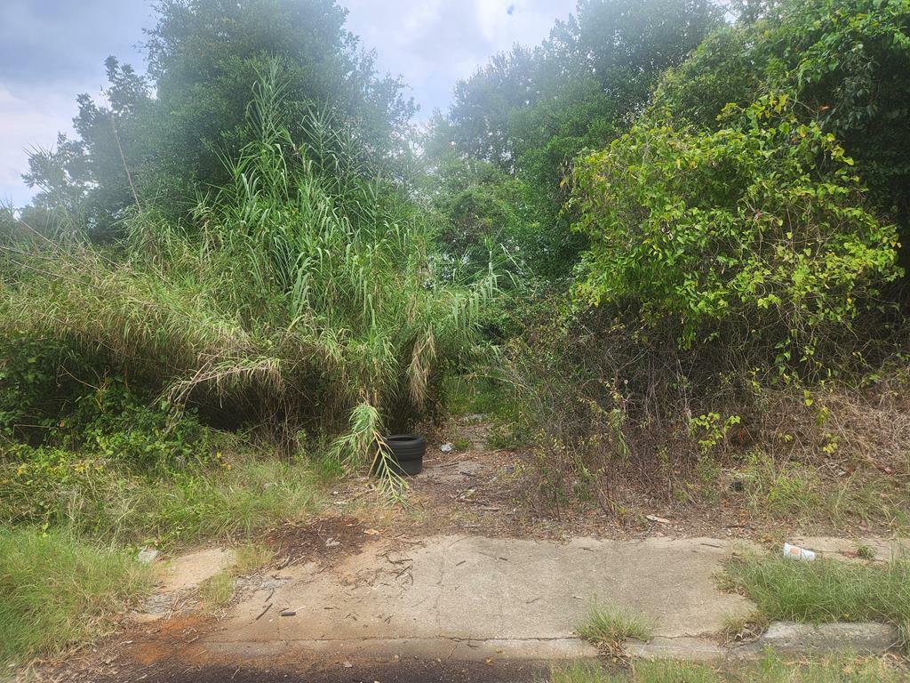 Property Photo: 2002 3rd Avenue GA 31901