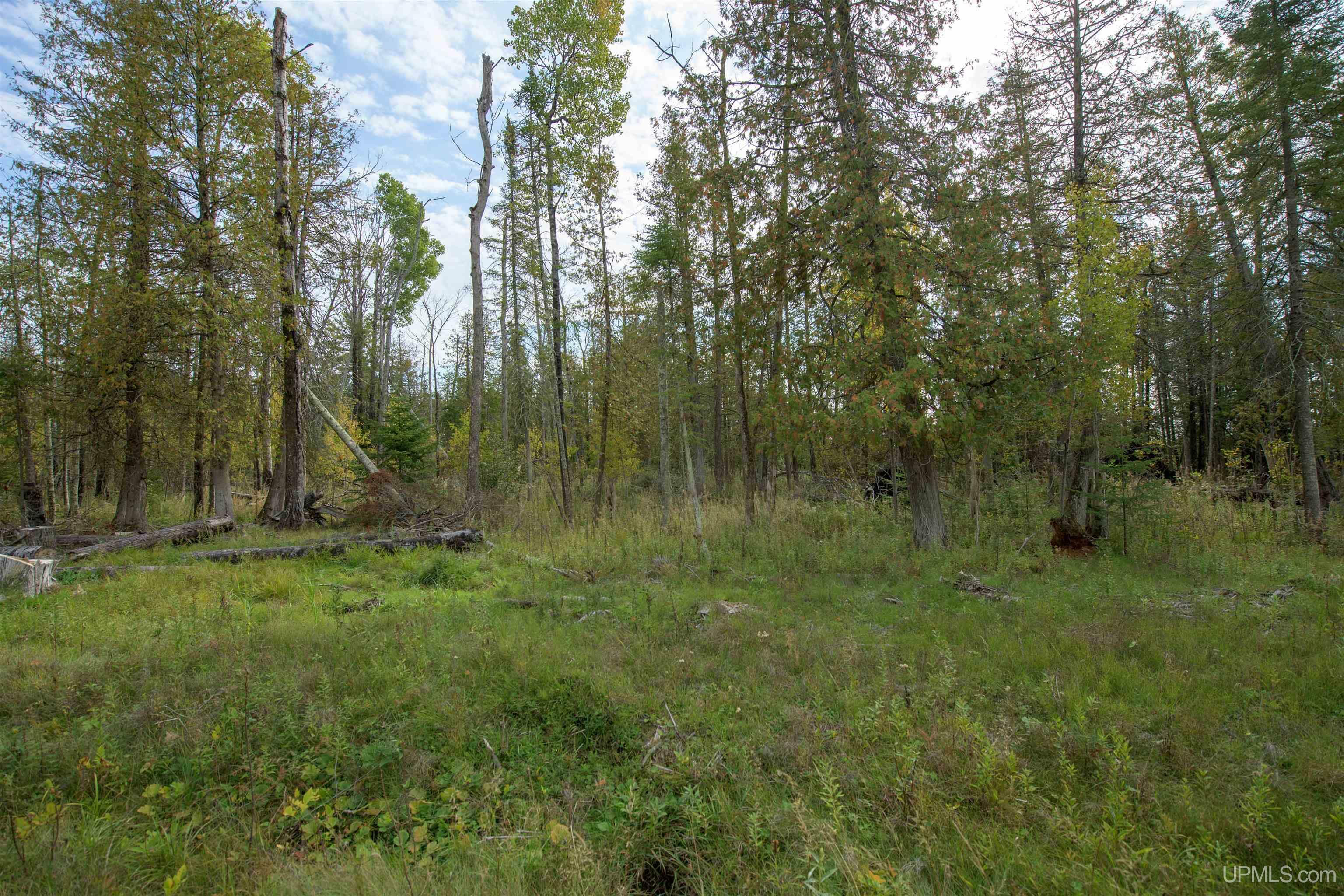 Property Photo:  Tbd Lot 4 Ll Road  MI 49878 