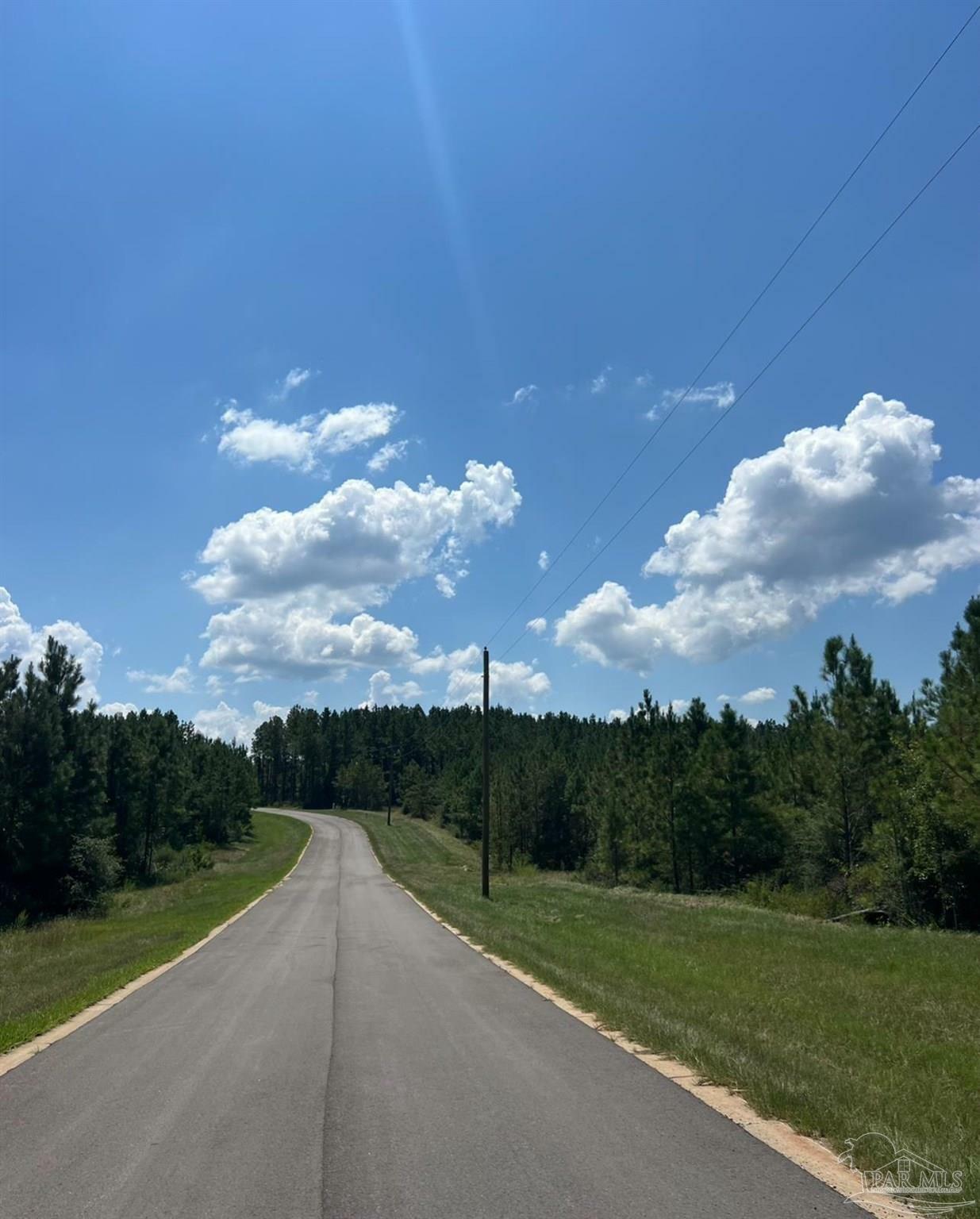 Property Photo:  Lot 14 SW Bashi Rd  FL 32571 