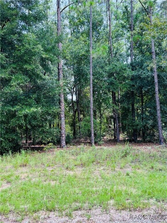 Property Photo:  8681 N Wallingford Avenue  FL 34434 