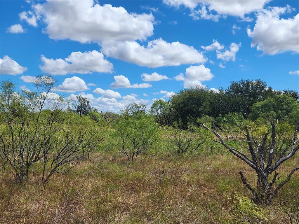 Property Photo:  Tbd Tx-279  TX 76443 