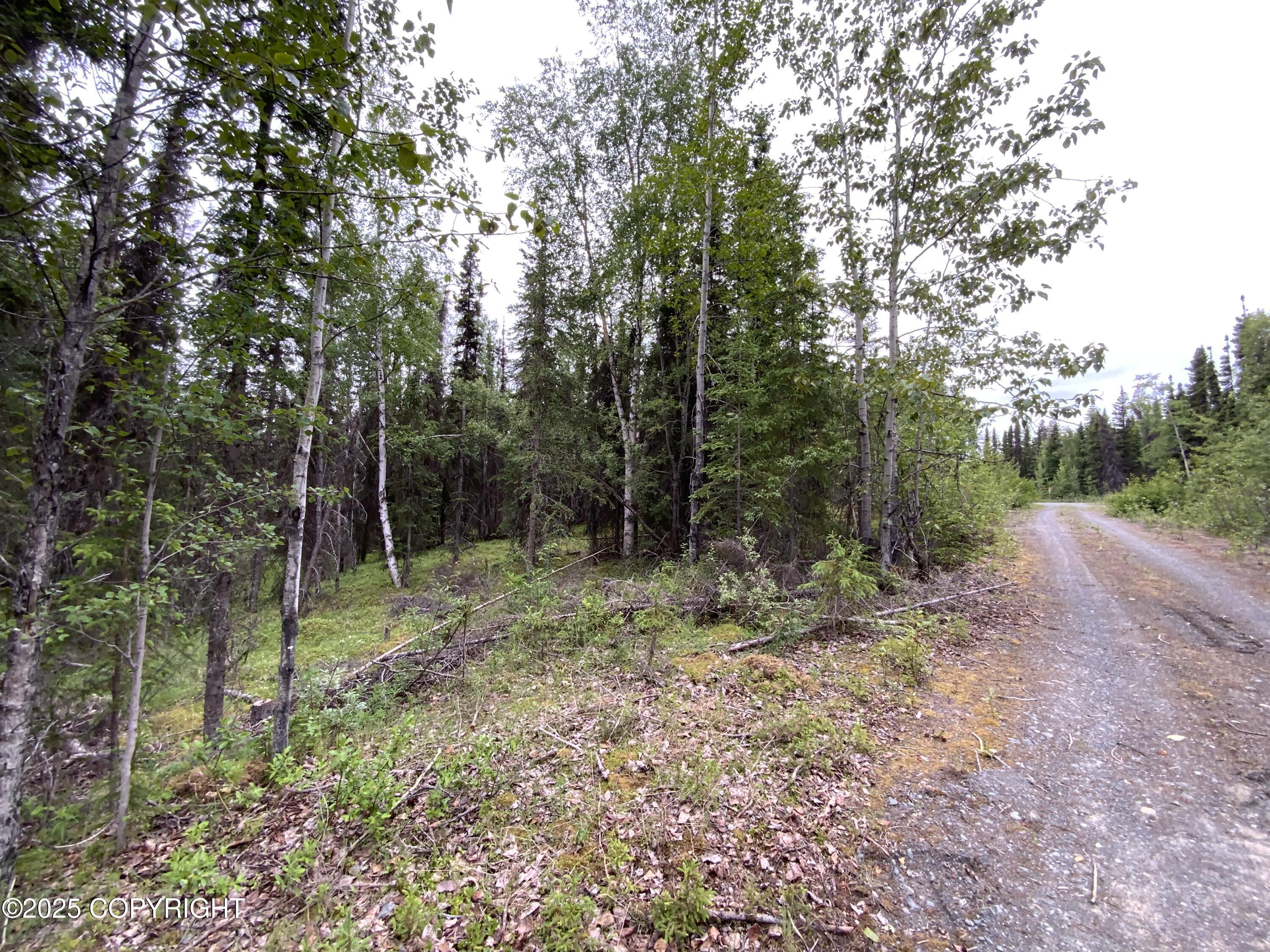 Property Photo:  33555 New Don Street  AK 99669 
