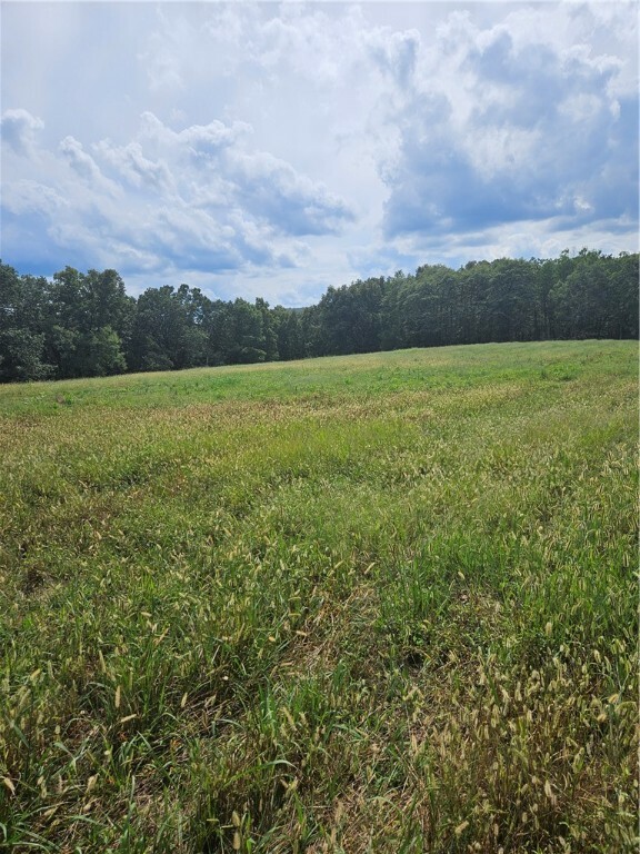 Tbd Hwy 295  Huntsville AR 72740 photo