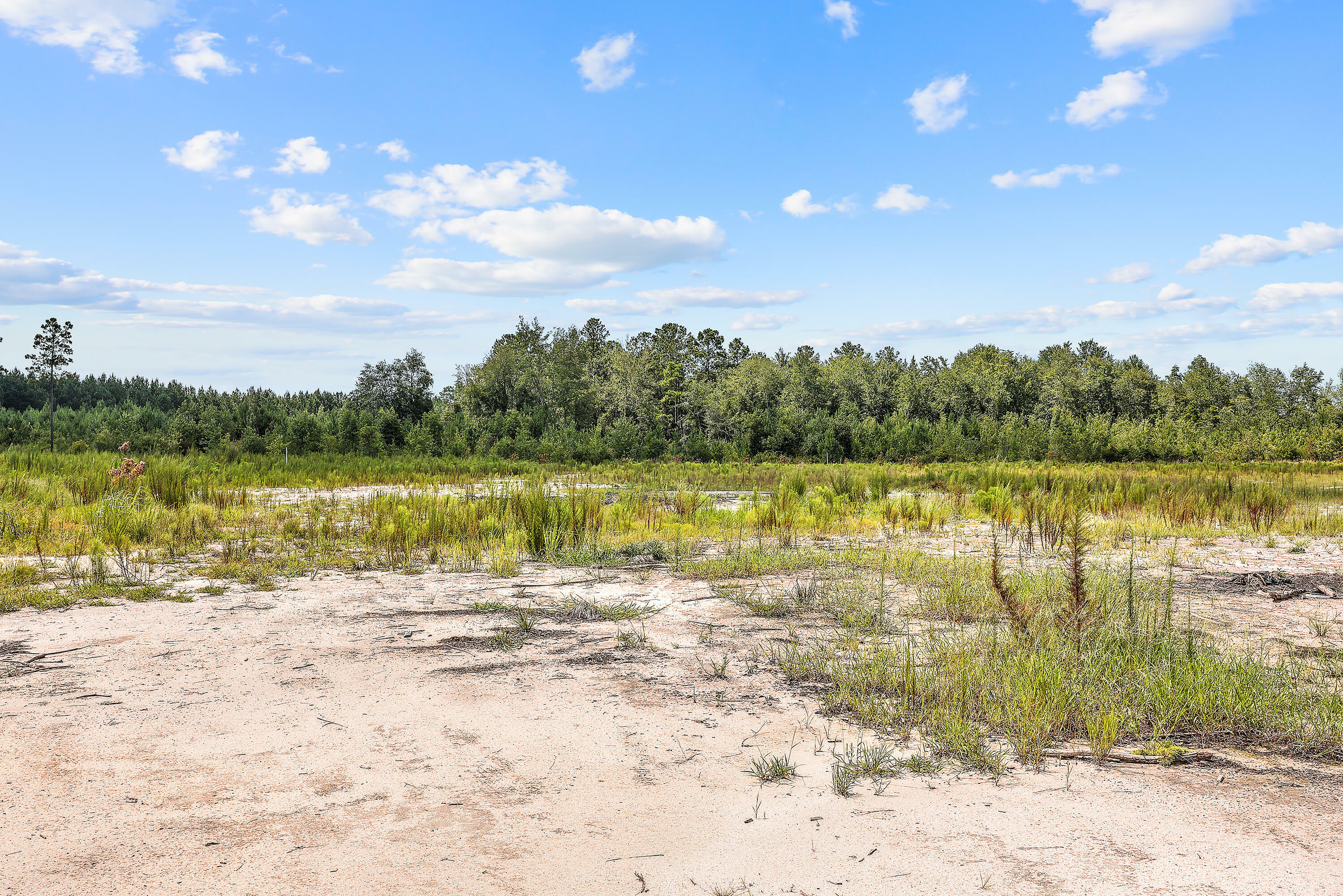 Property Photo:  0 Mudville Road  SC 29436 