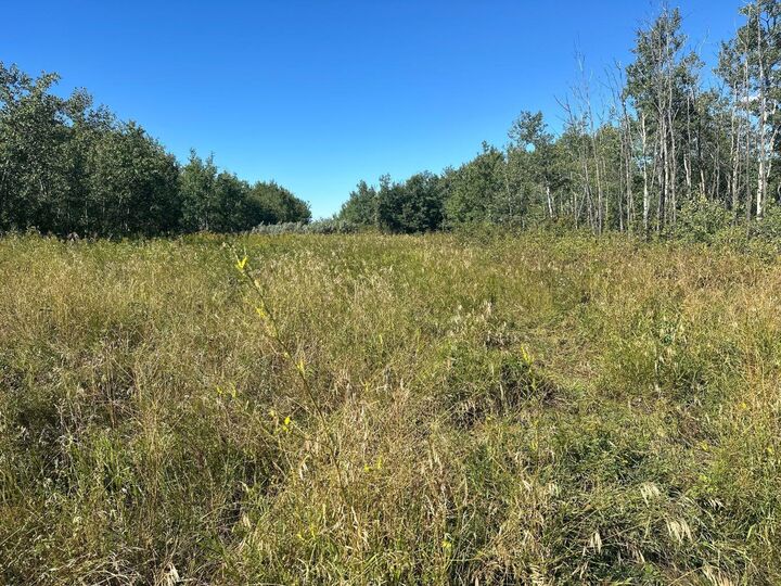 Juda Road — photo 1