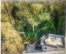 Property Photo:  713 Acton Street  CA 94014 