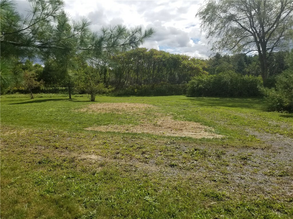 Property Photo:  2336 State Route 228  NY 14869 