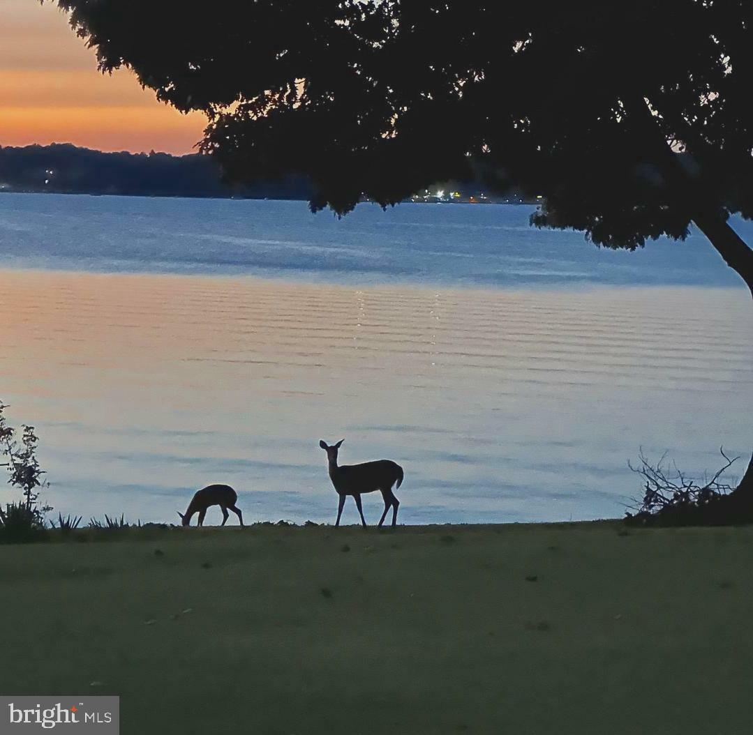 Property Photo:  37 Sandy Point Road  MD 21919 