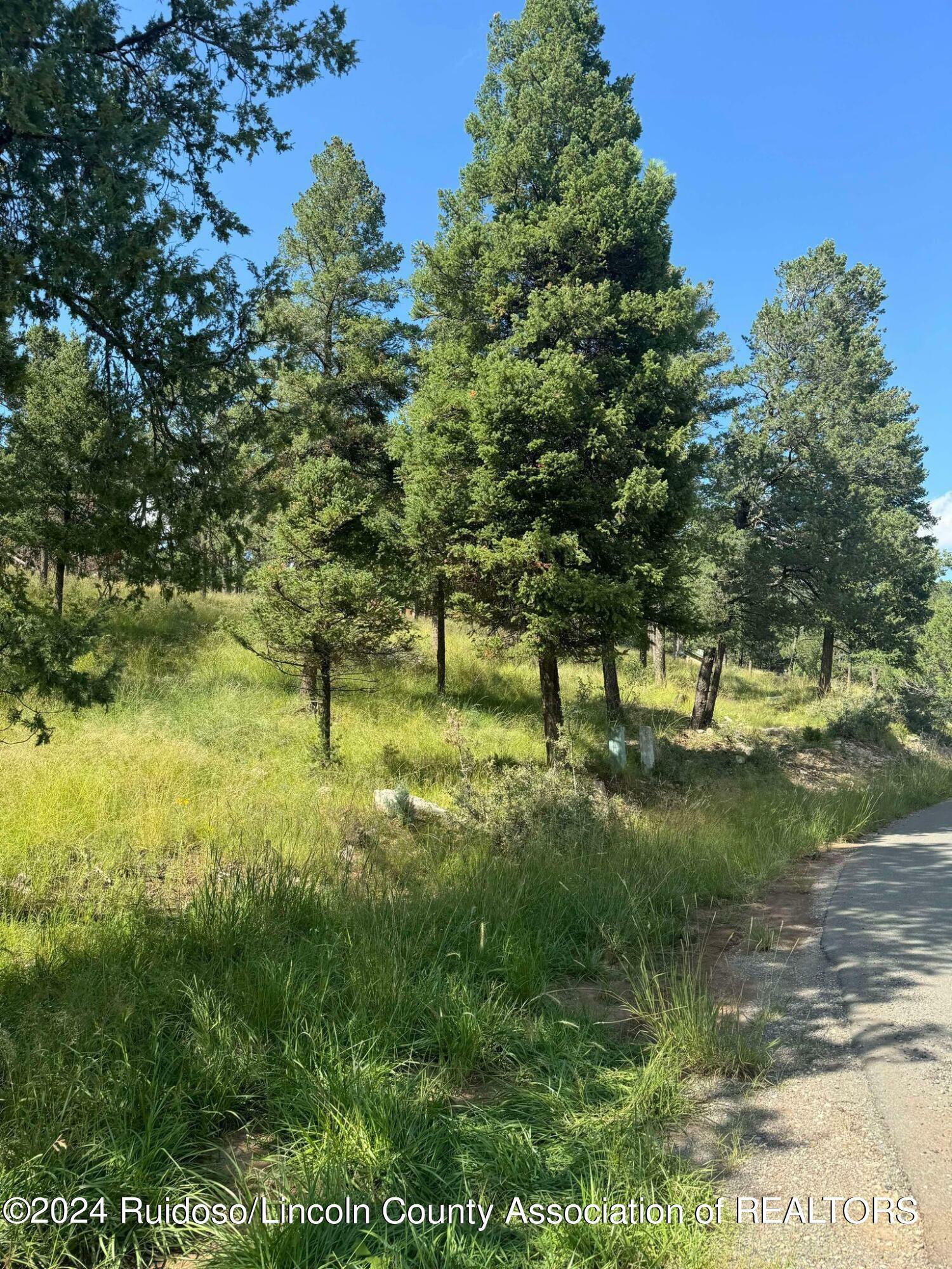 Property Photo:  301 Crown Drive  NM 88345 