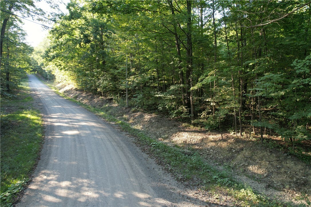 Property Photo:  Lot 2 Lockwood Run Road E  NY 14902 