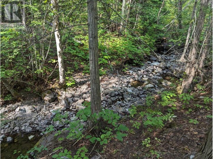 8569 Black Mountain Road — photo 1