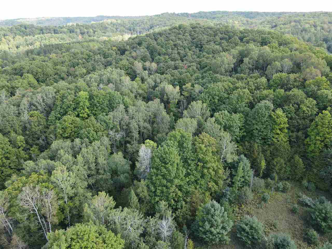 Property Photo:  Tbd Mt. Bliss  MI 49727 