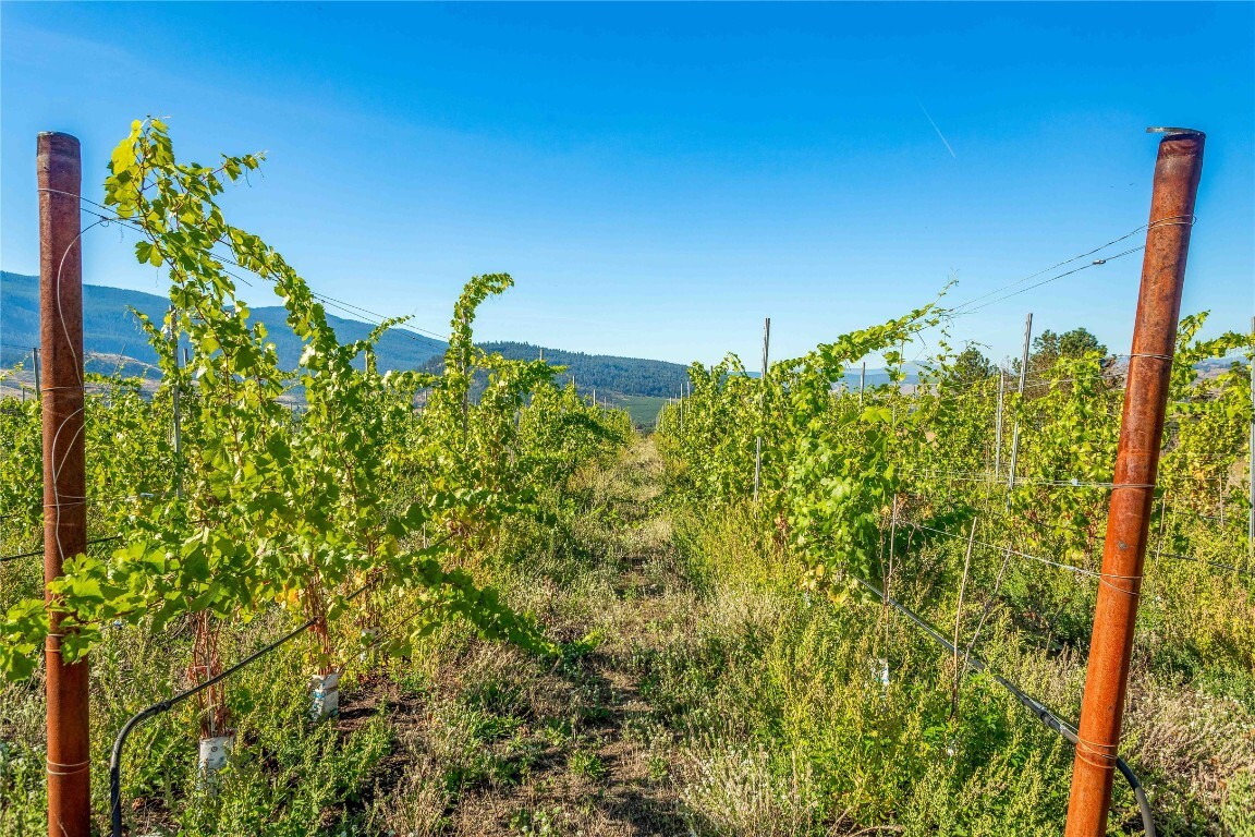 Property Photo: 9269 Highway 6 BC V1B 3B5