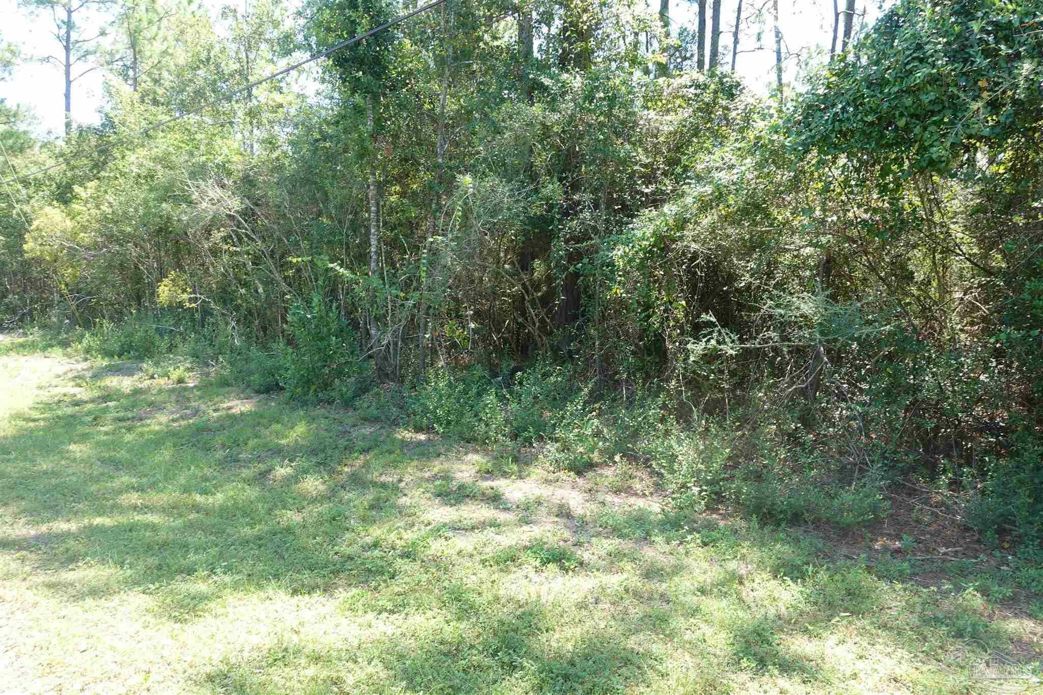 Property Photo:  00 Riverwood Rd  FL 32583 