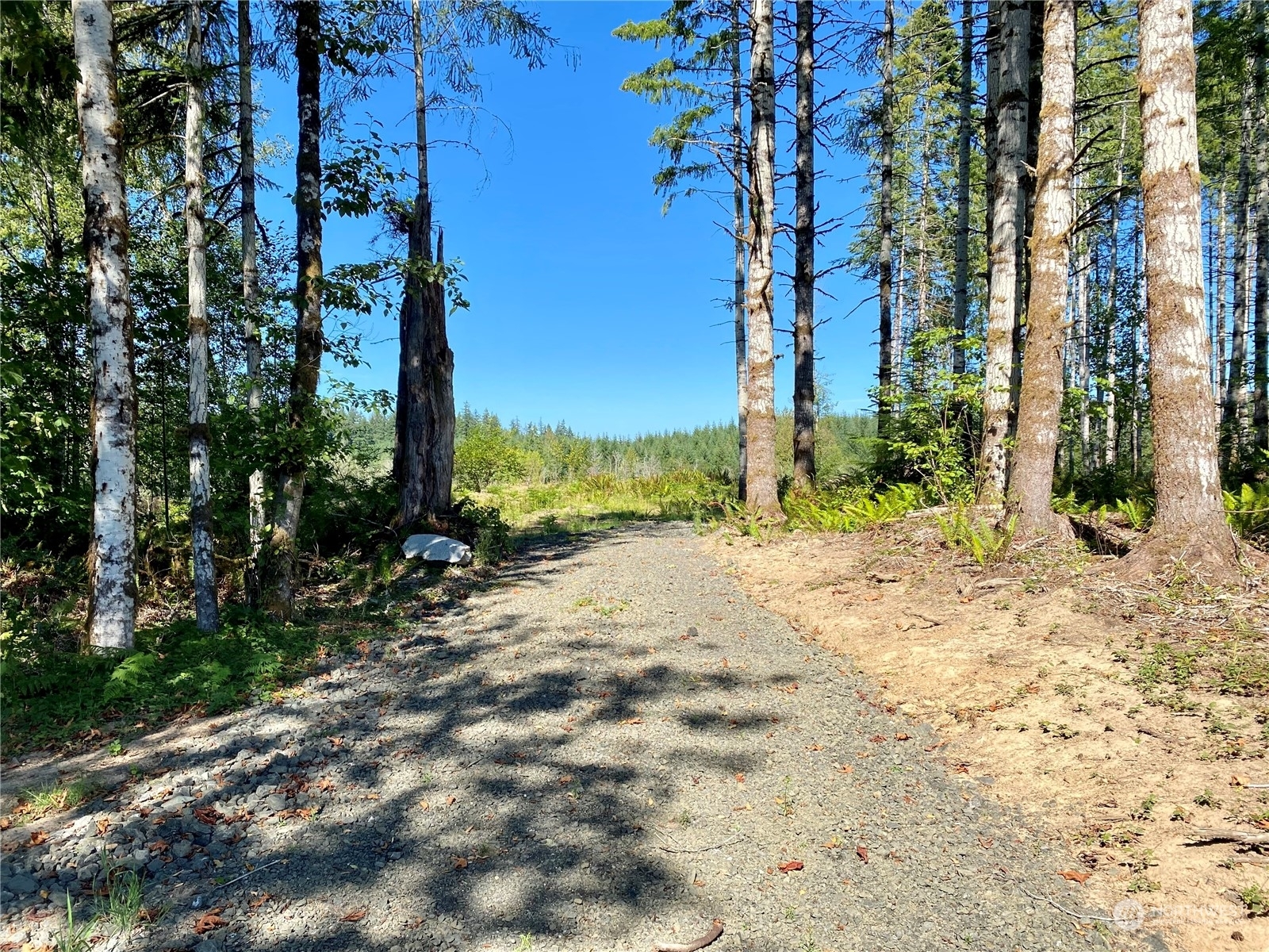 Property Photo:  4273 Lot C SE Lynch Road  WA 98584 