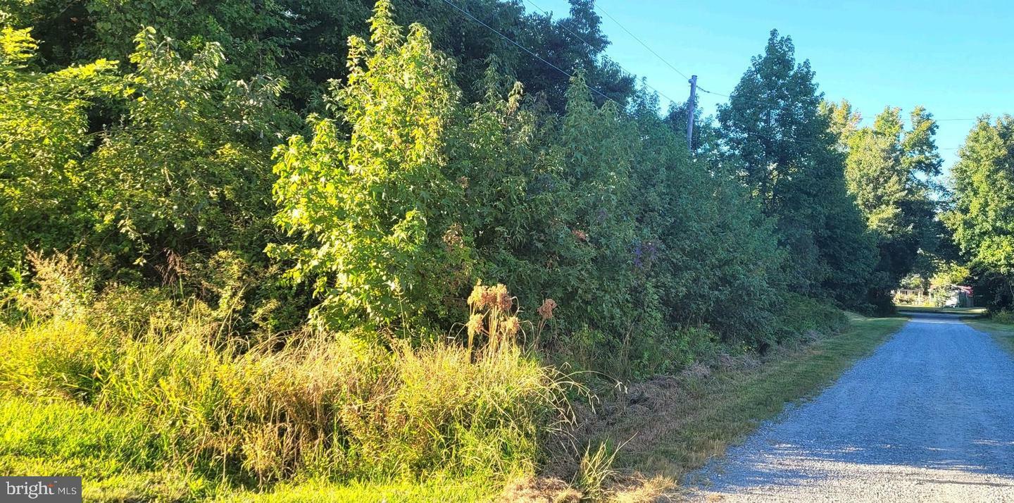 Property Photo:  Randall Rd  VA 22443 