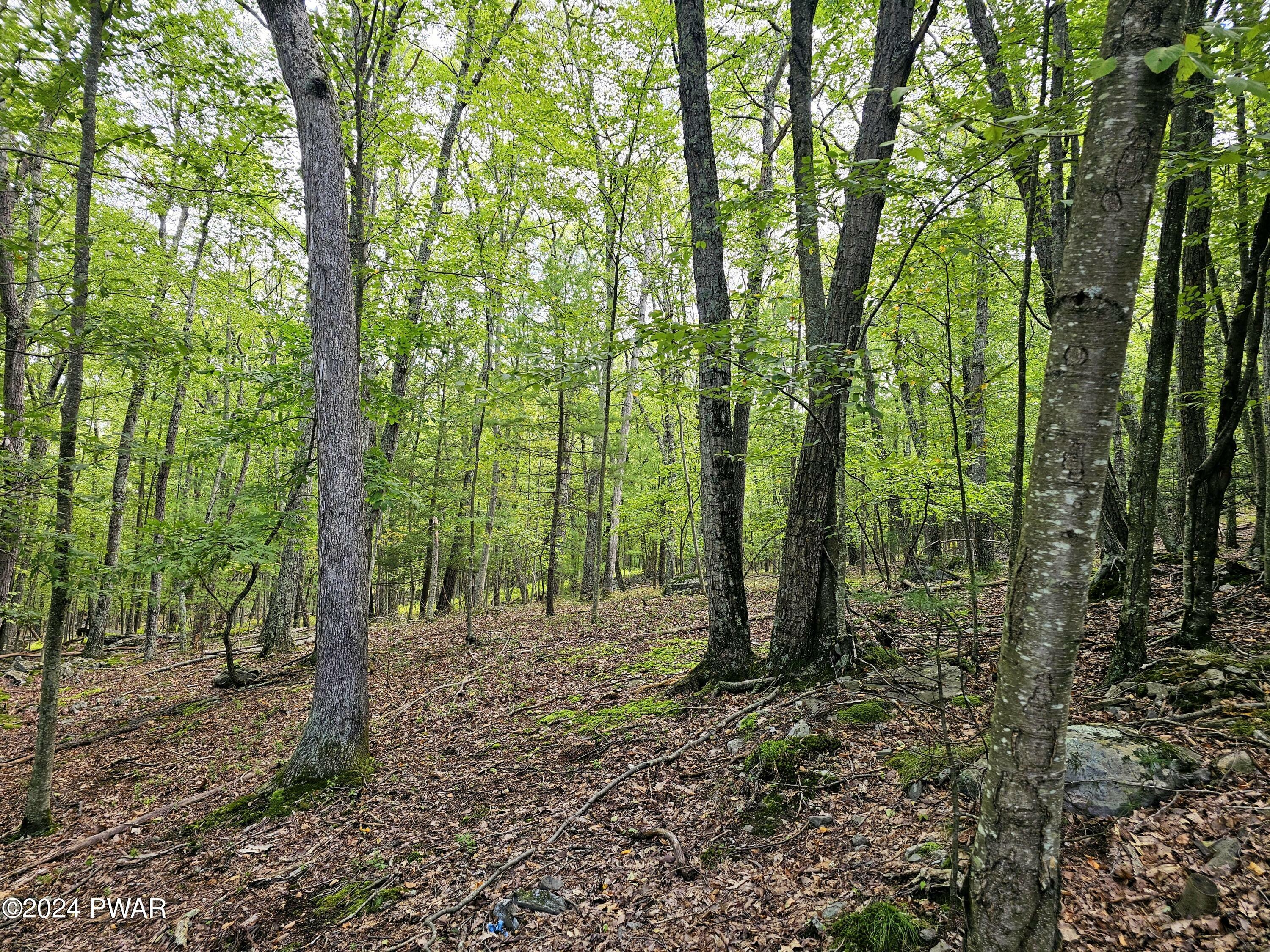 Property Photo:  Lots 16-32 Oneida Road  PA 18458 