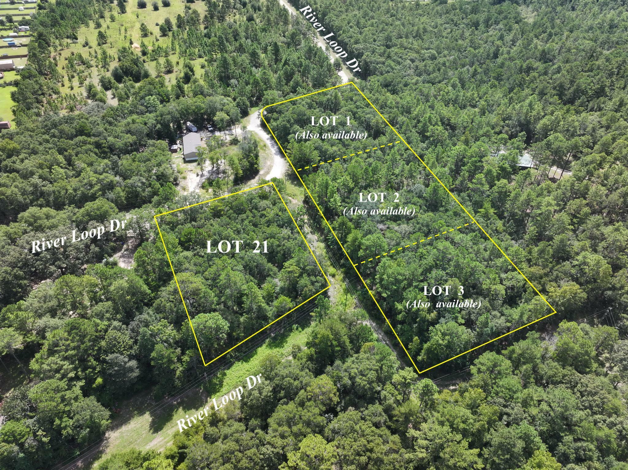 Property Photo:  Tbd River Loop Drive Lot 21  FL 32536 