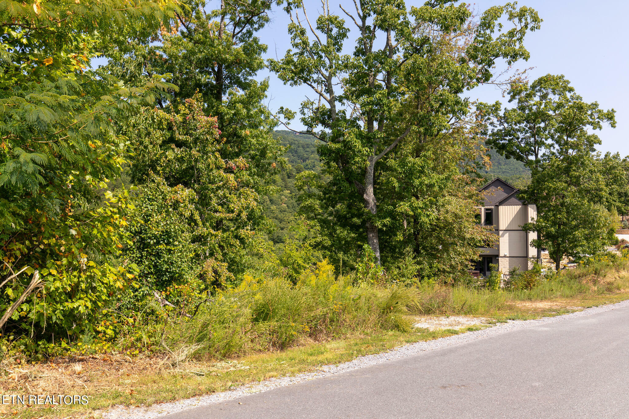 Property Photo:  Lot 167 Smoky Bluff Tr  TN 37862 