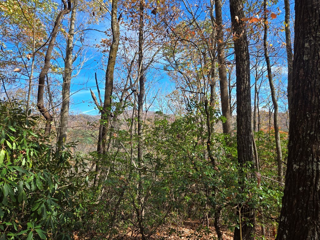Property Photo: 5.8 Copper Creek Rd NC 28906