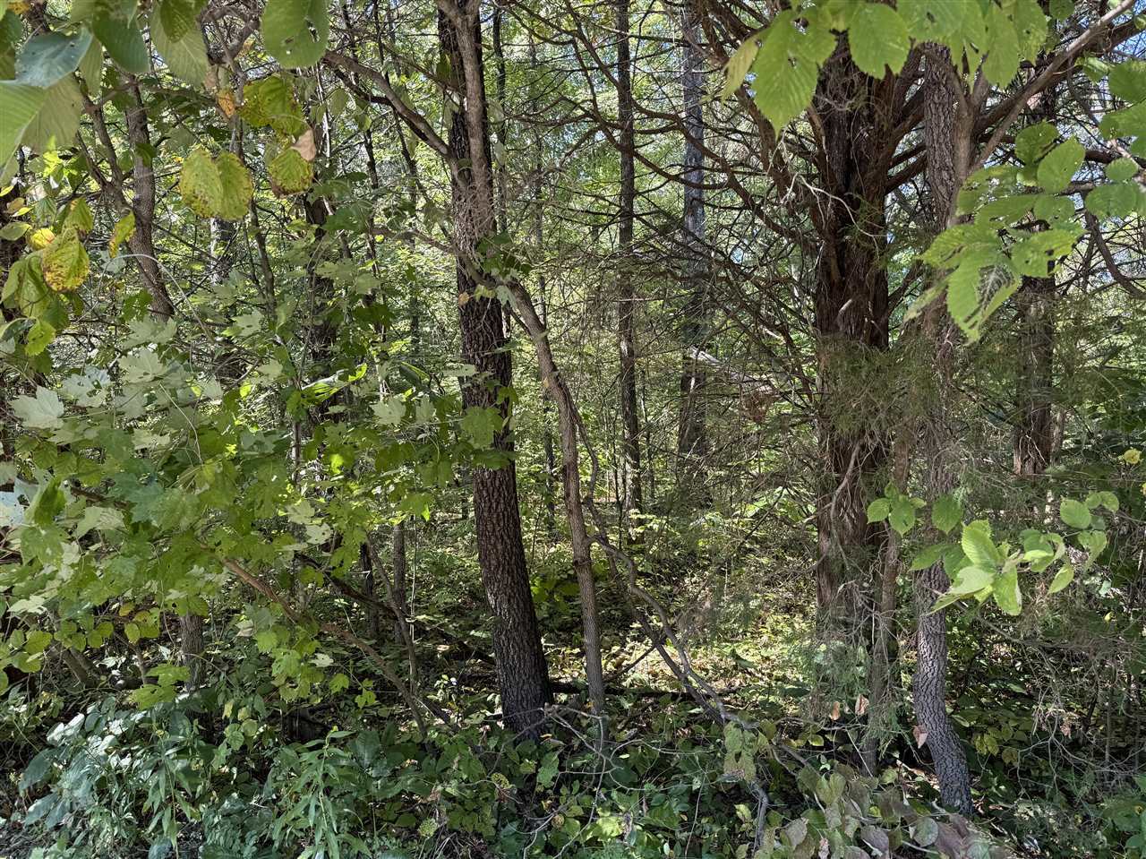 Property Photo:  Tract 1 William Simmons Road  KY 42101 