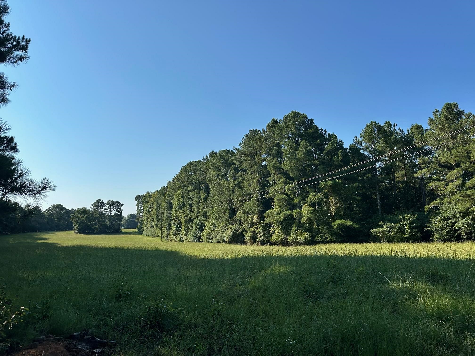 Property Photo:  1661 Walker Church Road  GA 30642-000 