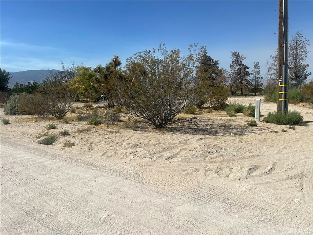 Property Photo:  9864 Donalson Road  CA 92356 