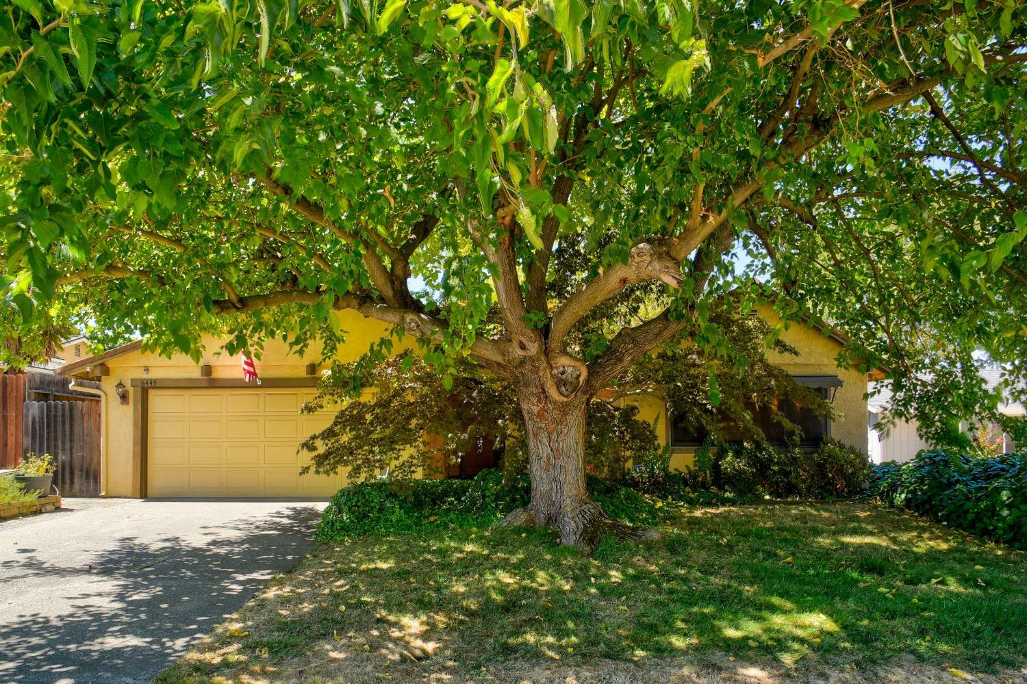 Property Photo:  6445 Innsbrook Way  CA 95662 