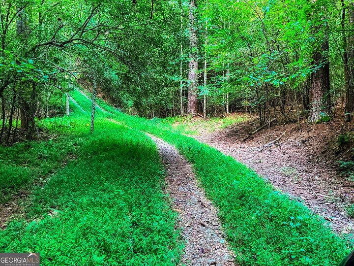 Property Photo: 0 Legion Road 241 Acres GA 30540