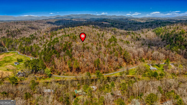 Property Photo:  0 Legion Road 241 Acres  GA 30540 