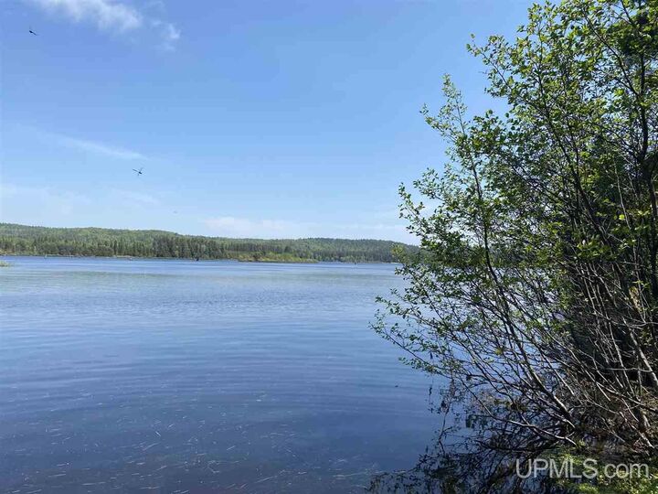 923 E Stickney Road  Champion MI 49814 photo