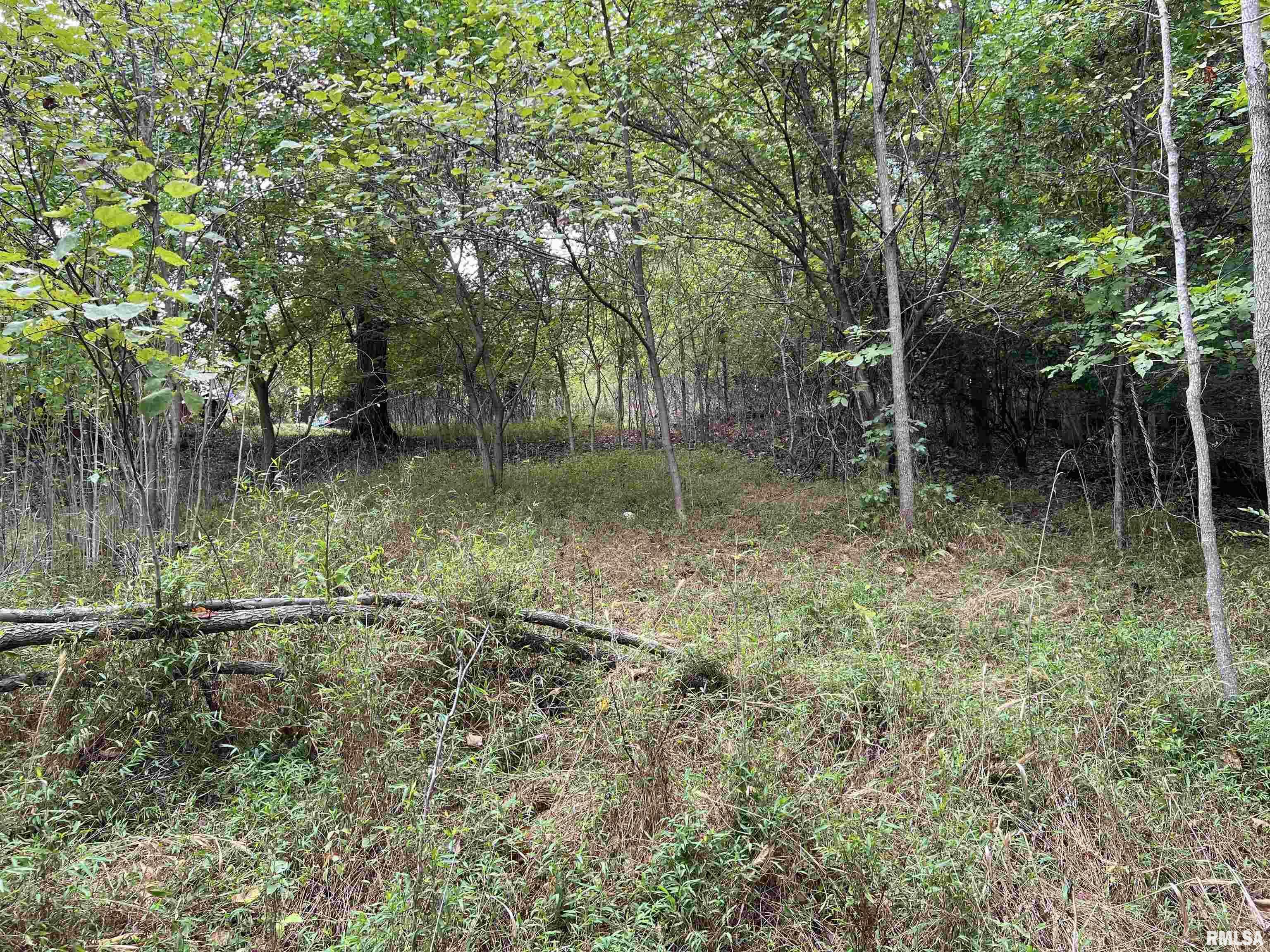 Property Photo: Lot 1355 Eagle Claw Point IL 62939