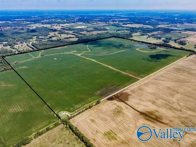 Property Photo:  480 Acres 6th Street  AL 35646 