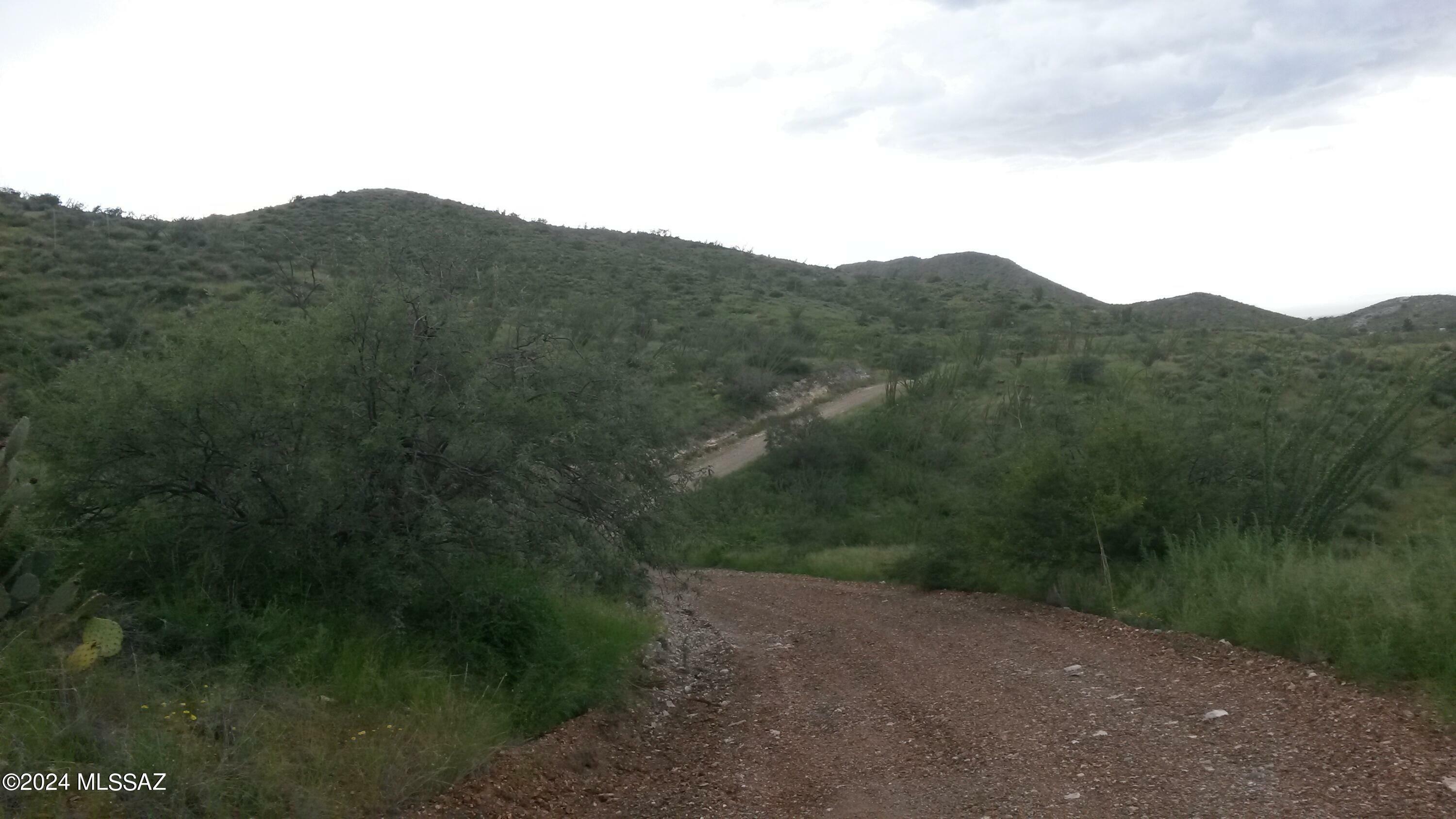 Property Photo:  S Goodenough Trail Lot 5  AZ 85641 