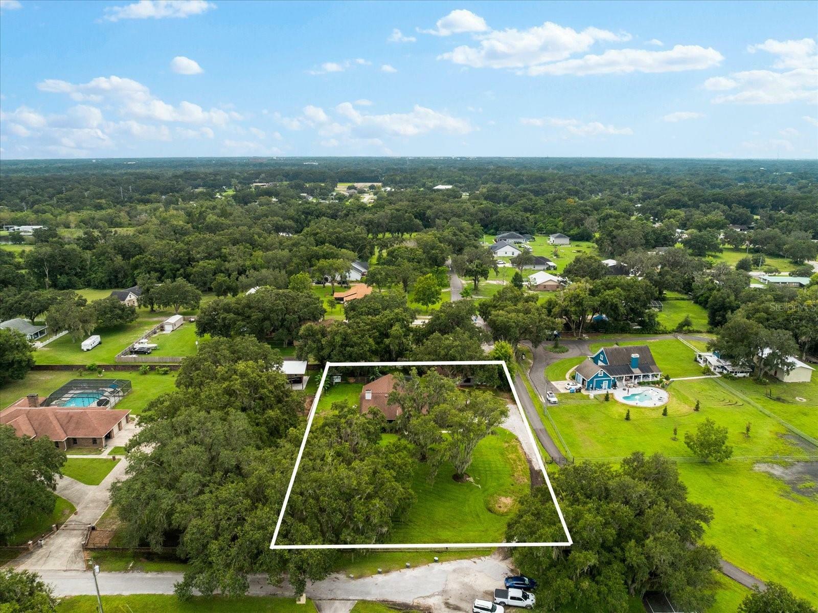 Property Photo:  3021 Leila Estelle Drive  FL 33565 