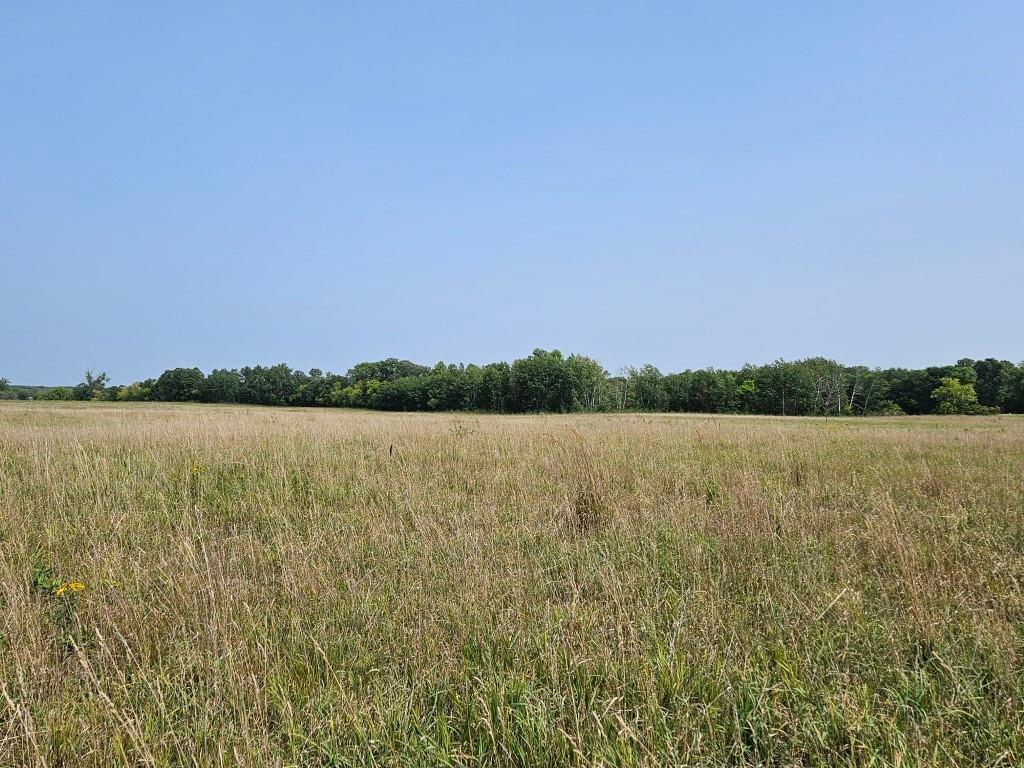 Property Photo:  Xxxx, Lot 1 Co Rd 38 NE  MN 56319 