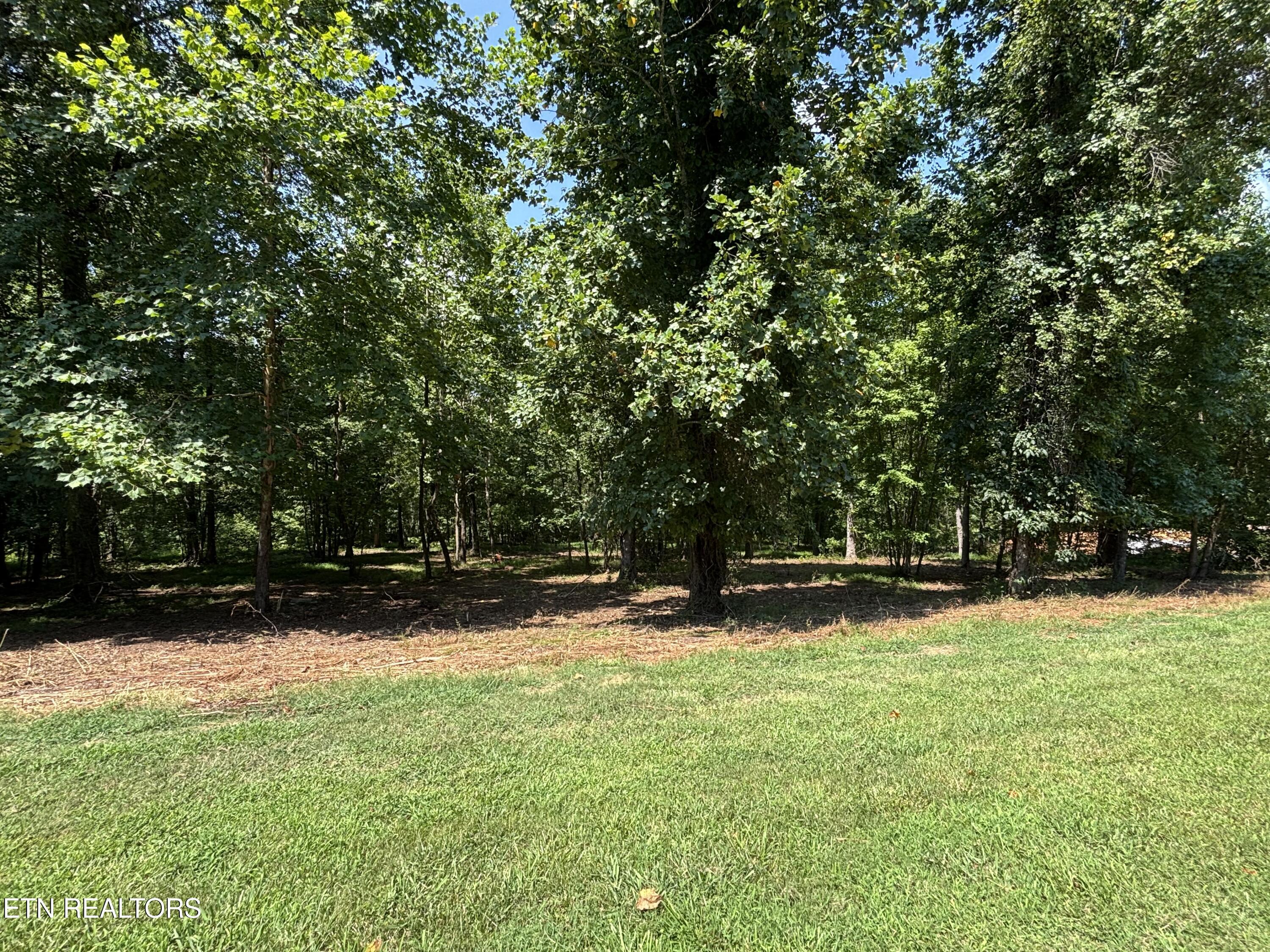 Property Photo:  371 Walking Horse Tr  TN 37854 