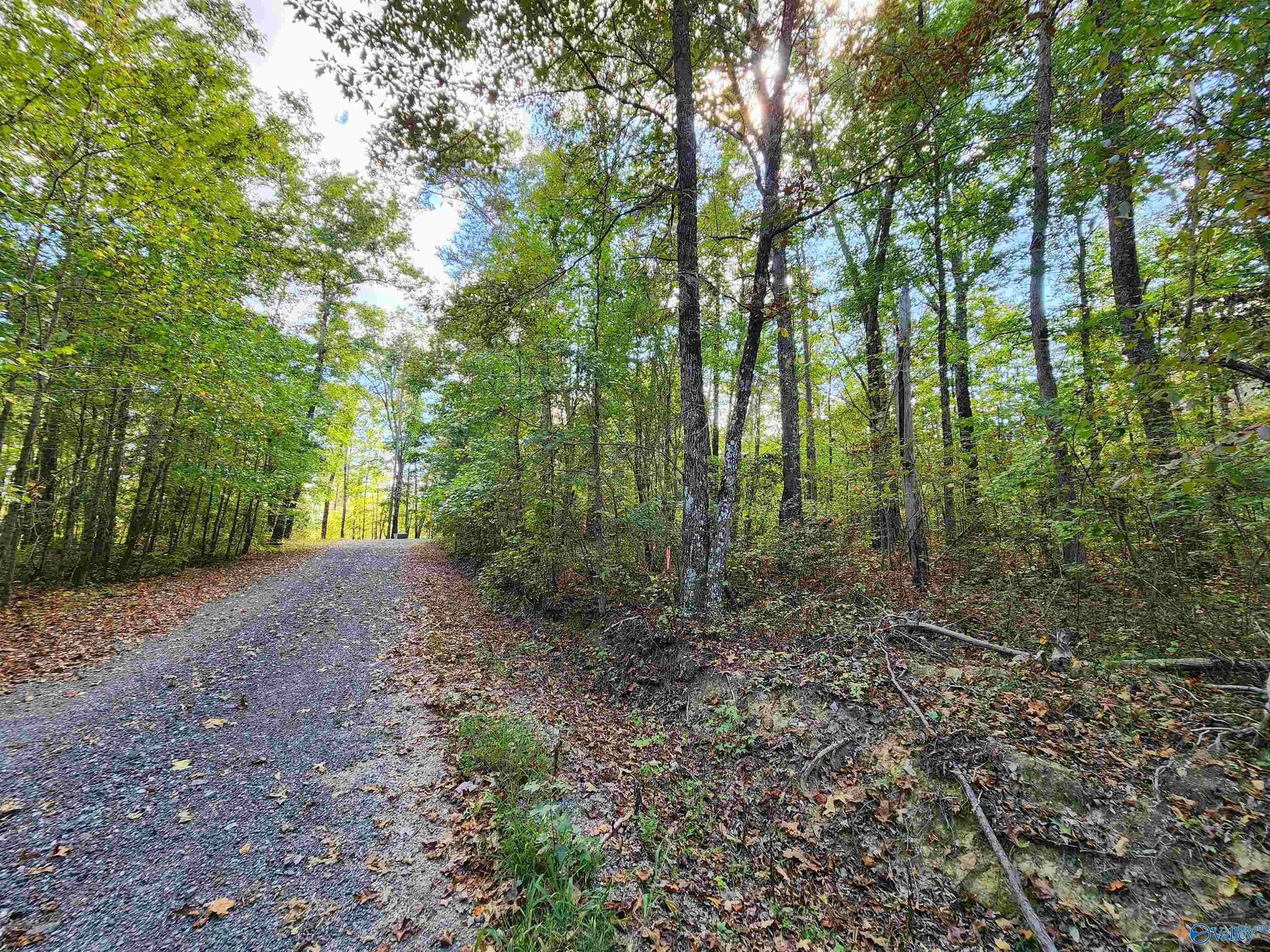 Property Photo:  Lot 17 Hunters Ridge Phase Iii  AL 35984 