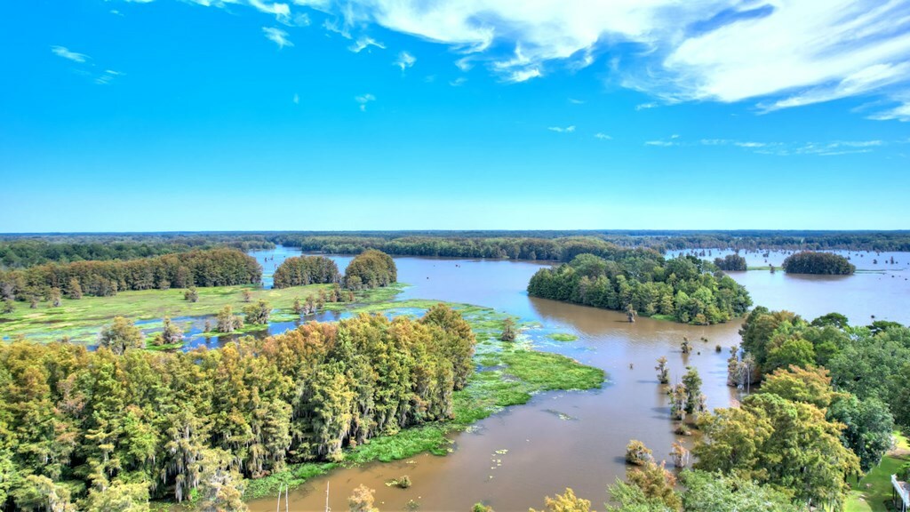 Property Photo: 123 E E Entrekin Road GA 31735