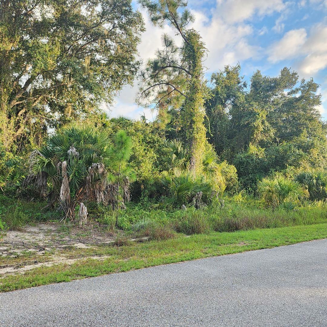 Property Photo:  Lot# 2 Mattox Circle  FL 34288 