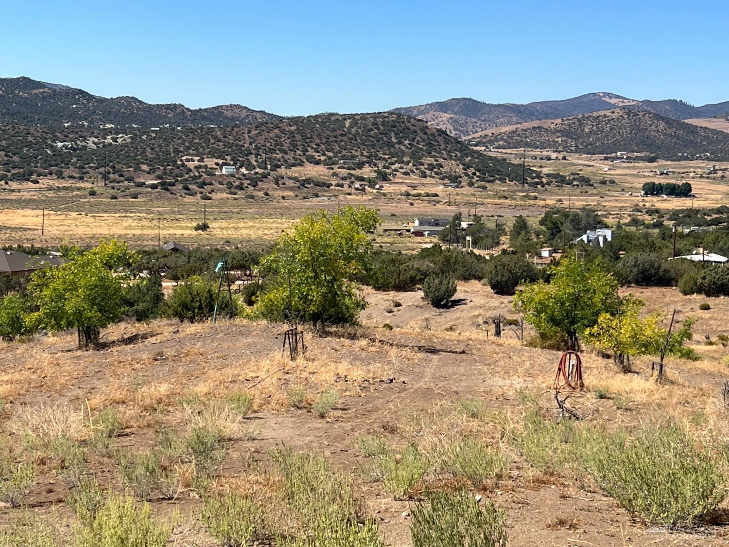 10656 Pretoria Road  Tehachapi CA 93561 photo