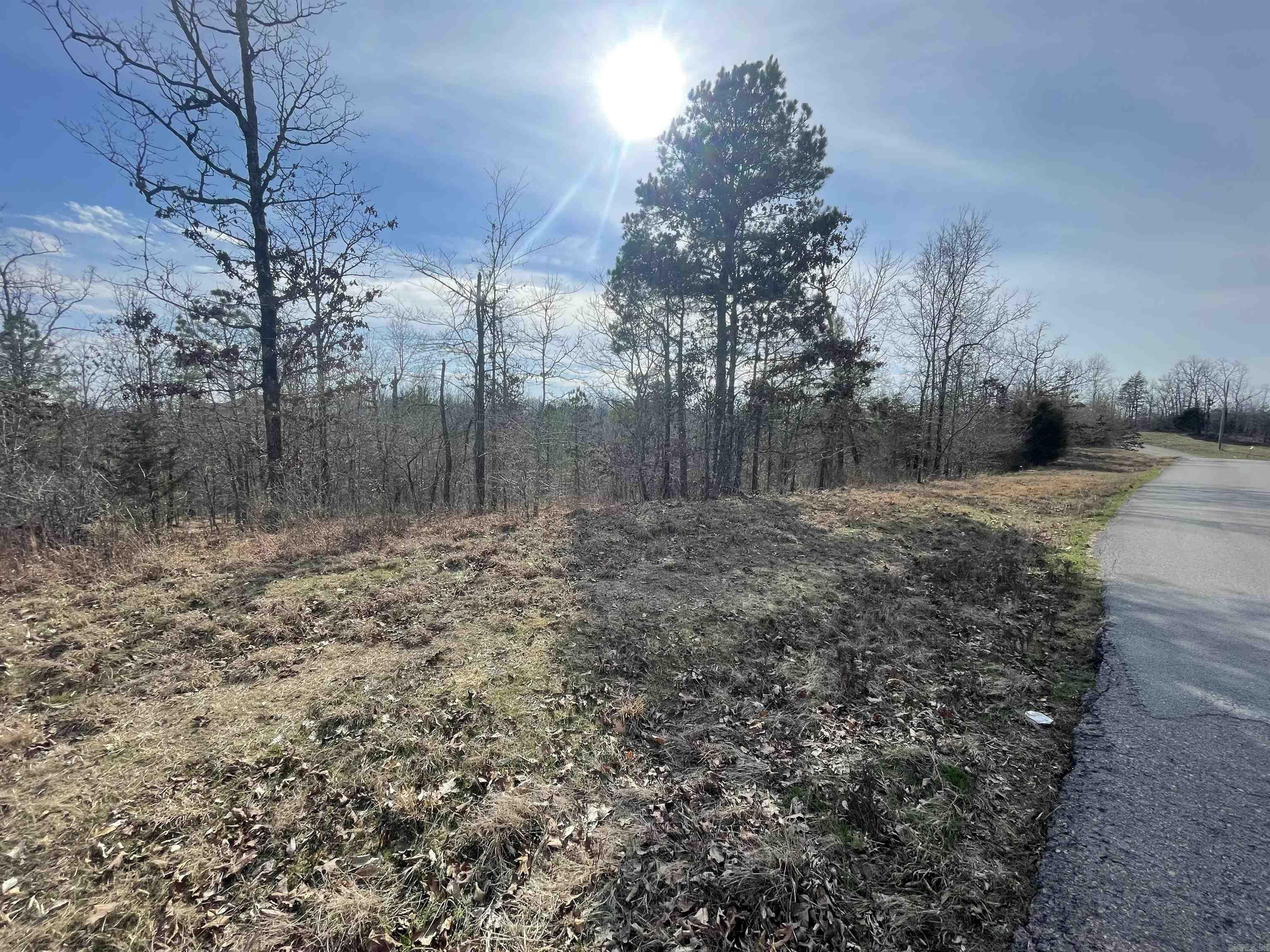 Property Photo:  Lot 12 N Lake Norrell Road  AR 72002 